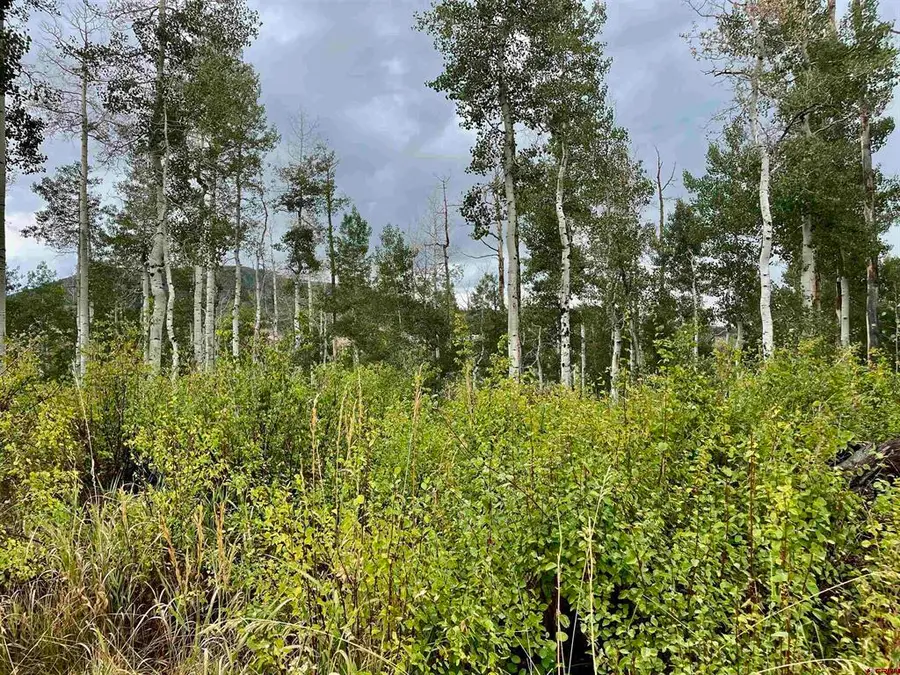 Lot 64 Groundhog Vista, Egnar, CO 81320 - #2