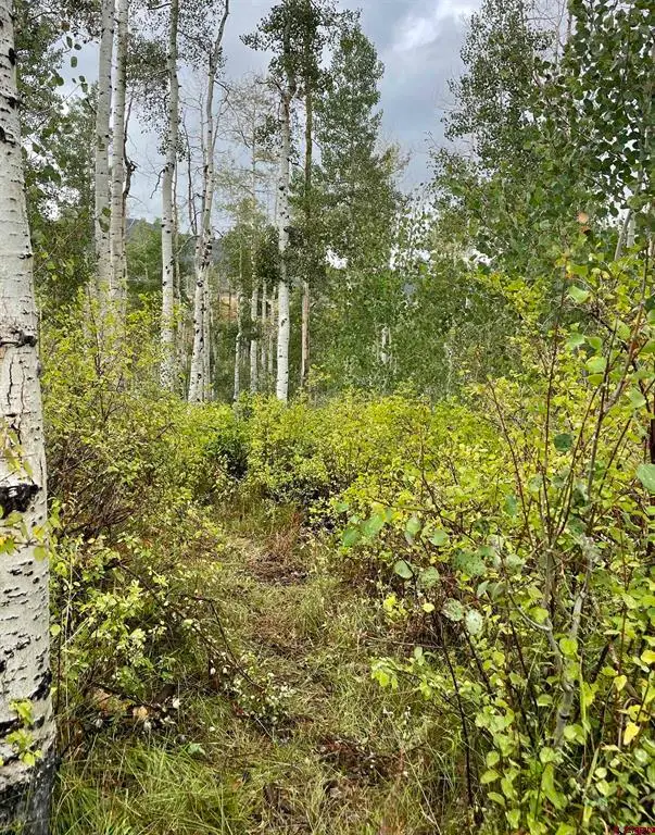 Lot 64 Groundhog Vista, Egnar, CO 81320 - #3