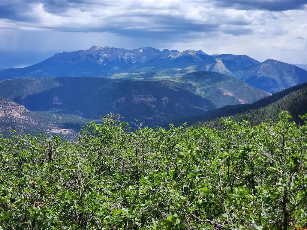 TBD Canyon Rim Loop, Placerville, CO 81430 - #1