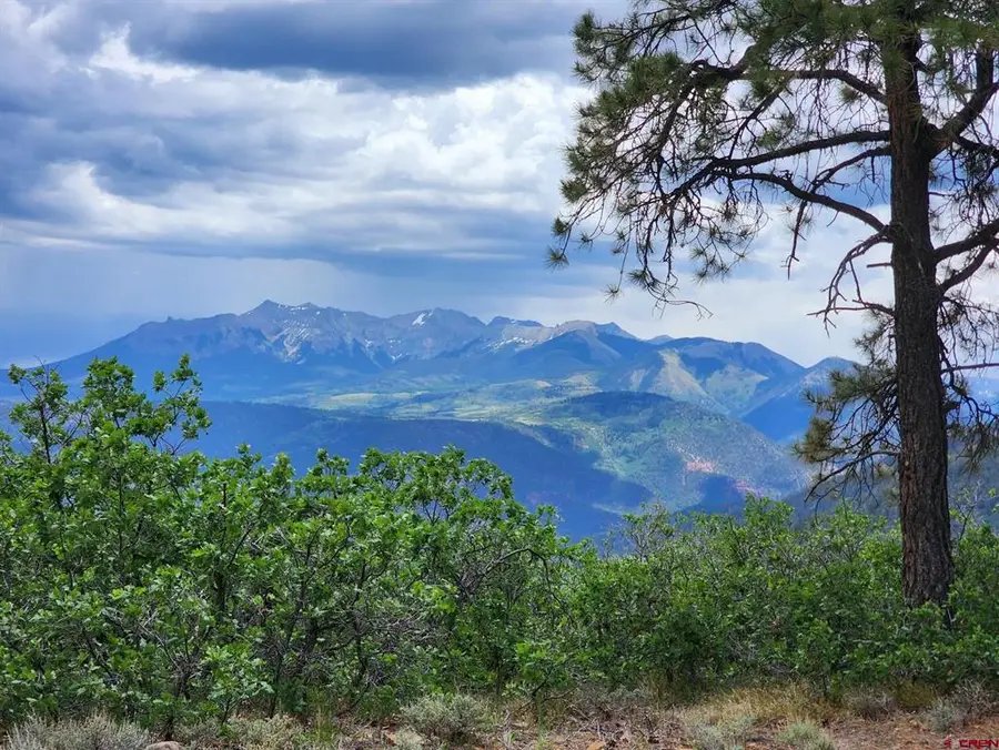 TBD Canyon Rim Loop, Placerville, CO 81430 - #2