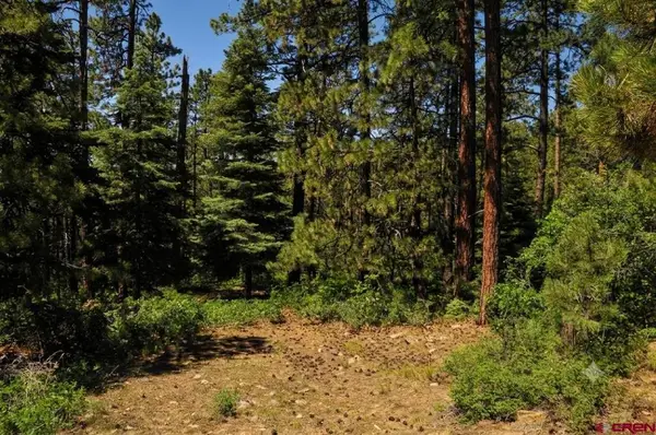 176 Big Timber Drive, Bayfield, CO 81122