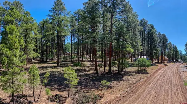 79 Spruce Way, Bayfield, CO 81122