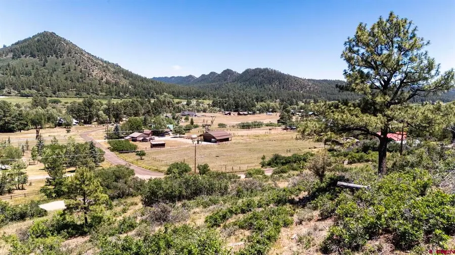 997 Ludwig Drive, Bayfield, CO 81122 - #3