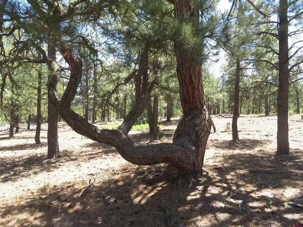 500 Coronado Circle, Pagosa Springs, CO 81147