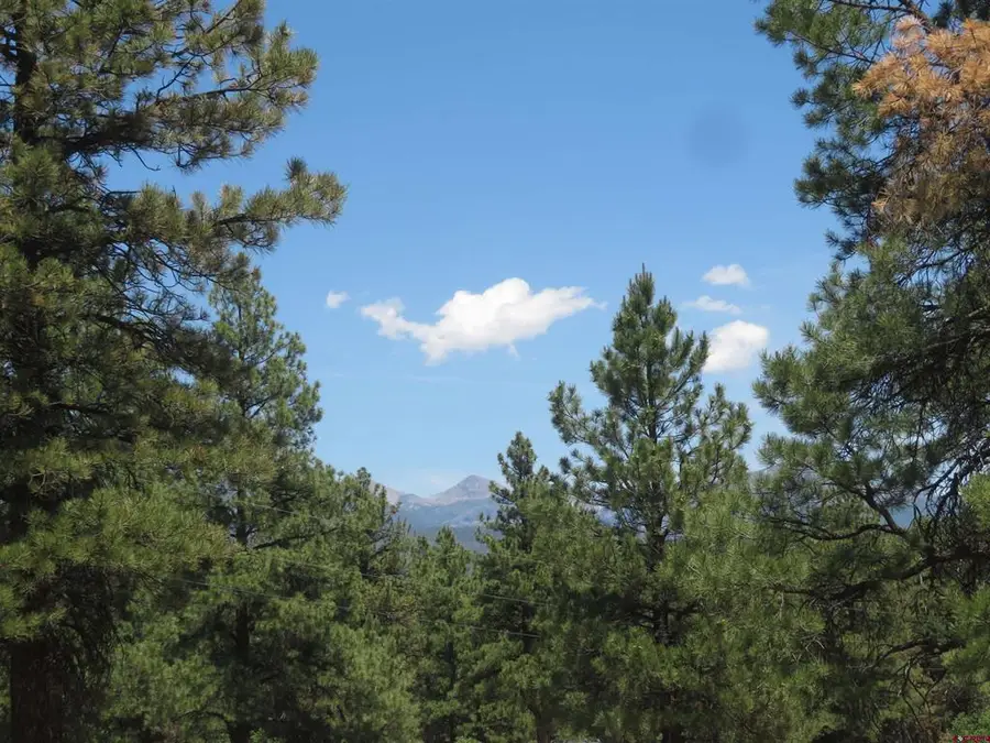 500 Coronado Circle, Pagosa Springs, CO 81147 - #3