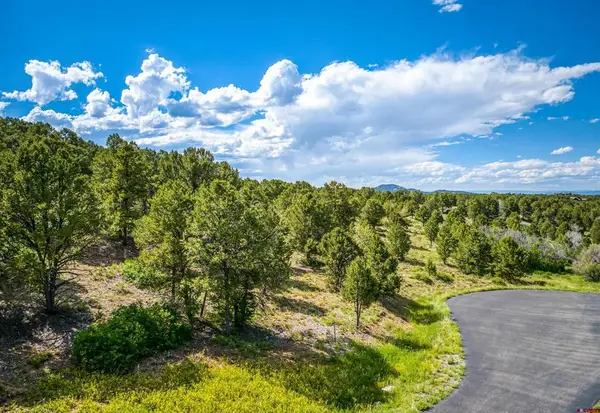 Lot 9 Pointe Escape Drive, Ridgway, CO 81432