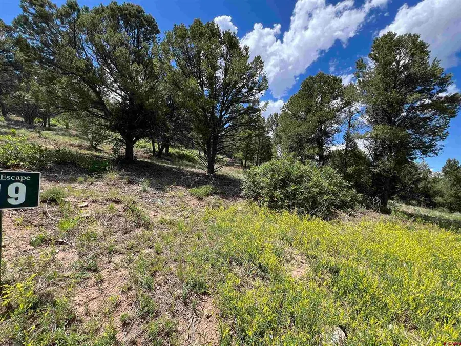 Lot 9 Pointe Escape Drive, Ridgway, CO 81432 - #2