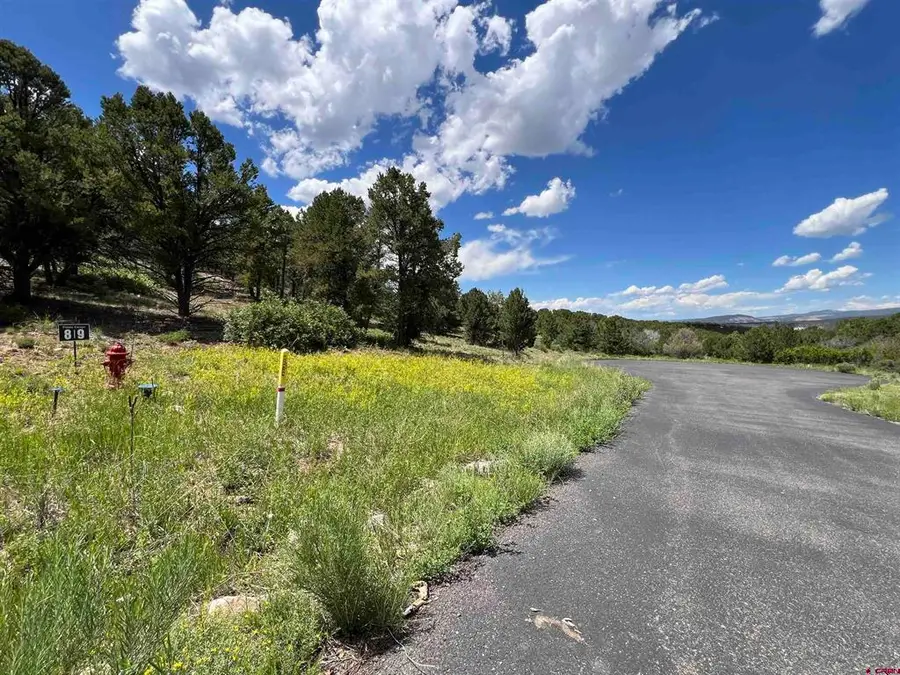 Lot 9 Pointe Escape Drive, Ridgway, CO 81432 - #3