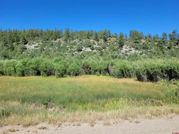 1578 Harvard Avenue, Pagosa Springs, CO 81147