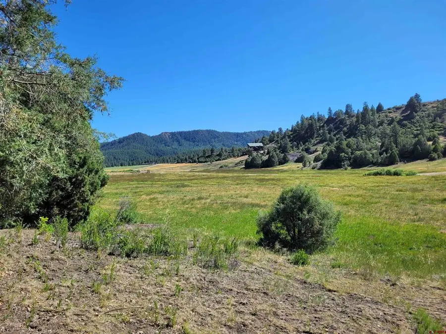 1578 Harvard Avenue, Pagosa Springs, CO 81147 - #2