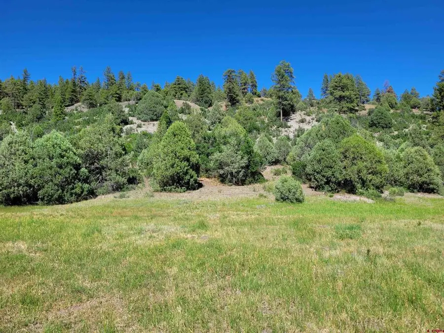 1578 Harvard Avenue, Pagosa Springs, CO 81147 - #3