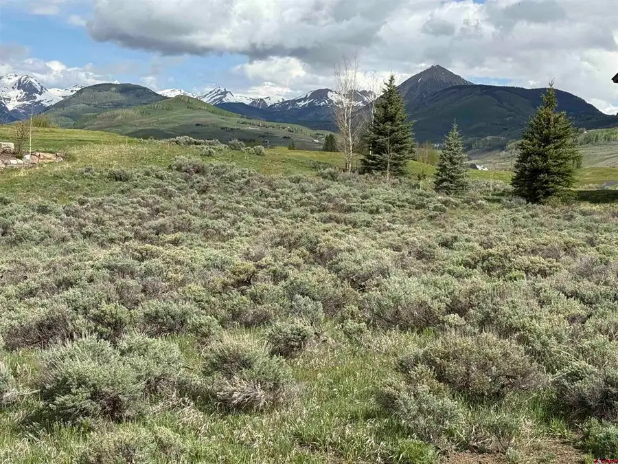 331 Eagle Lane, Crested Butte, CO 81224 - #3