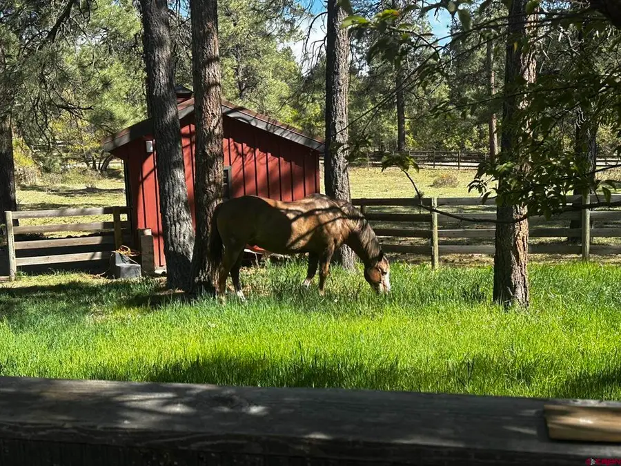 513 W Log Hill Road, Pagosa Springs, CO 81147 - #2