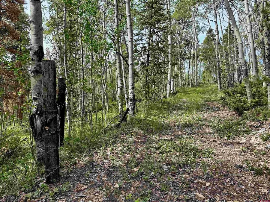 TBD County Road 743, Gunnison, CO 81230 - #2