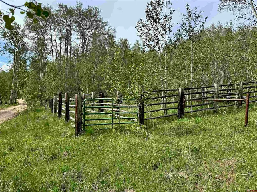TBD County Road 743, Gunnison, CO 81230 - #3