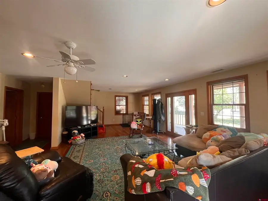 530 Otto Street, Ridgway, CO 81432 - #3
