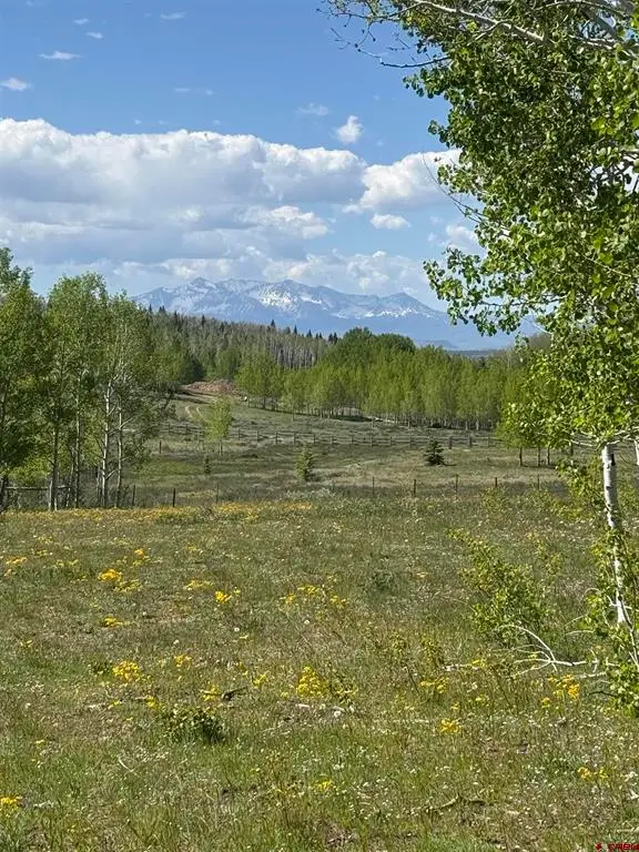 Tbd Divide/ Davewood Road, Montrose, CO 81403