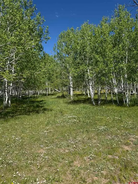 Tbd Divide/ Davewood Road, Montrose, CO 81403 - #3