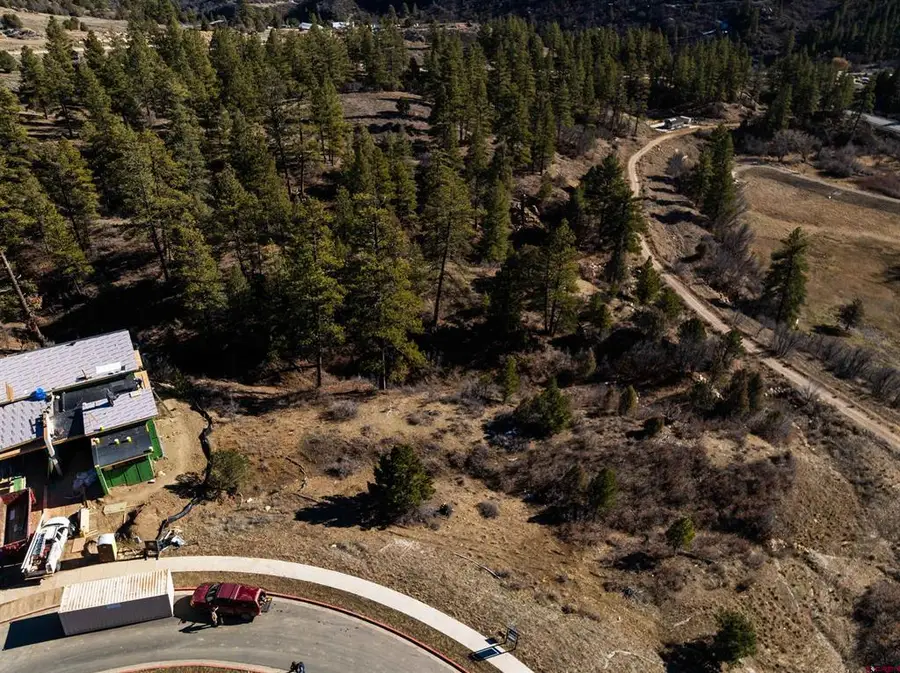 117 Wild Chives Ct., Durango, CO 81301 - #2