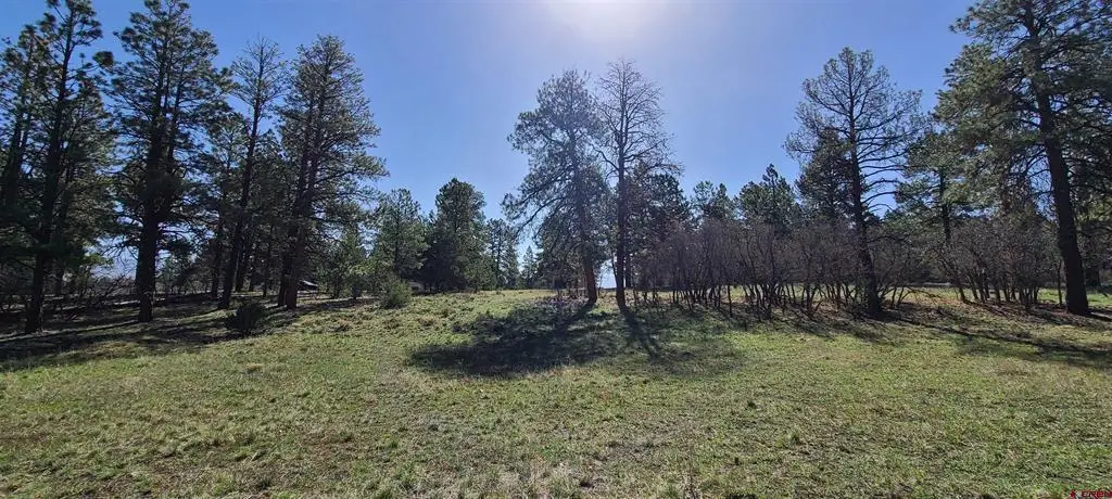225 Badger Trail, Ridgway, CO 81432 - #1