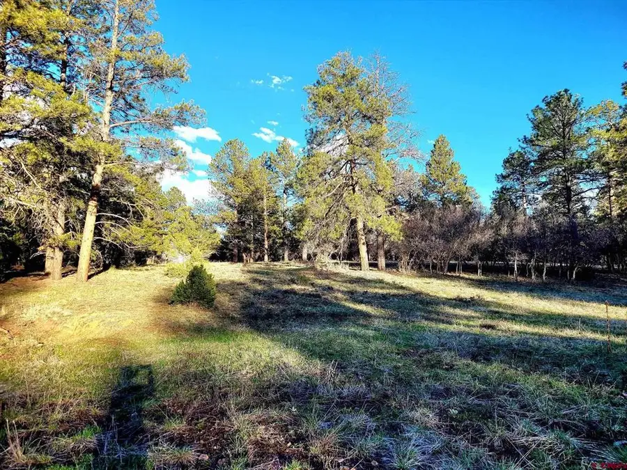 225 Badger Trail, Ridgway, CO 81432 - #2