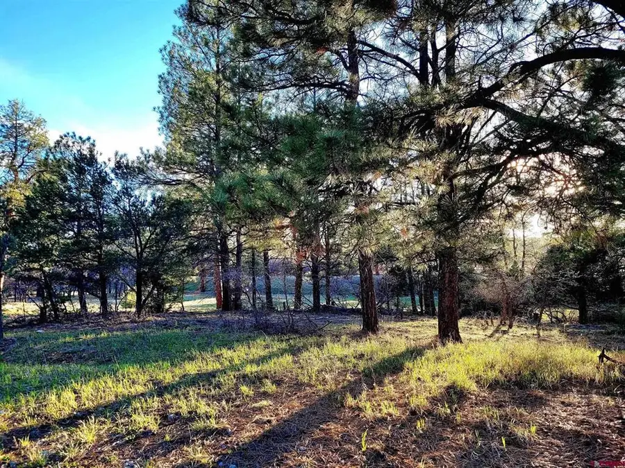 225 Badger Trail, Ridgway, CO 81432 - #3