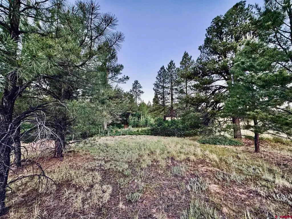 3898 N Pagosa Boulevard, Pagosa Springs, CO 81147 - #1