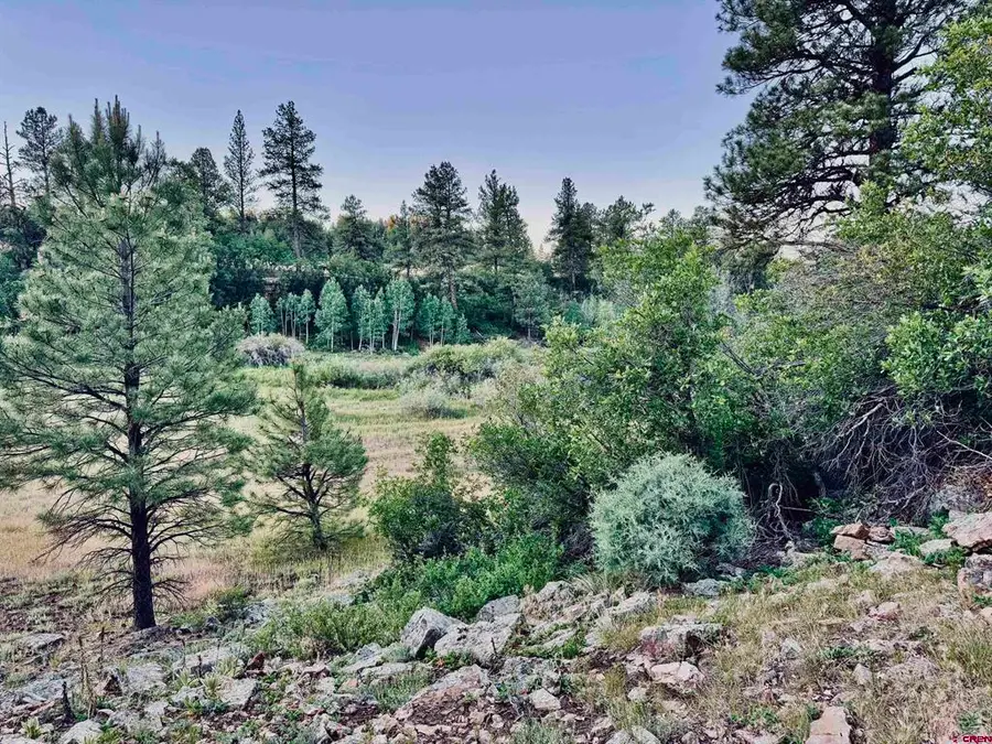 3898 N Pagosa Boulevard, Pagosa Springs, CO 81147 - #2