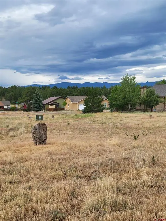 99 Fireside Street, Pagosa Springs, CO 81147