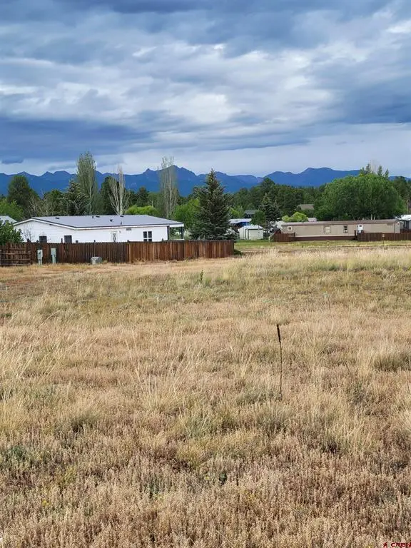 99 Fireside Street, Pagosa Springs, CO 81147 - #2