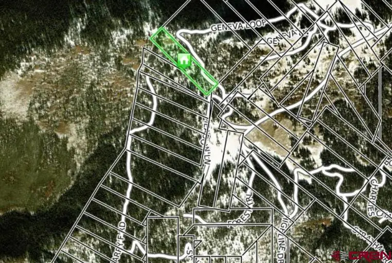 TBD # 10 Geneva Loop Loop, Pitkin, CO 81241 - #2