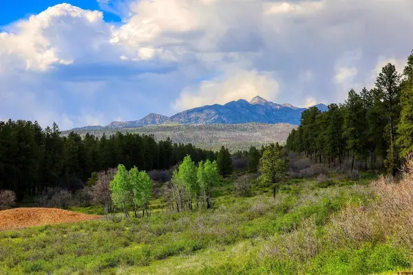 701 Piney Place, Pagosa Springs, CO 81147