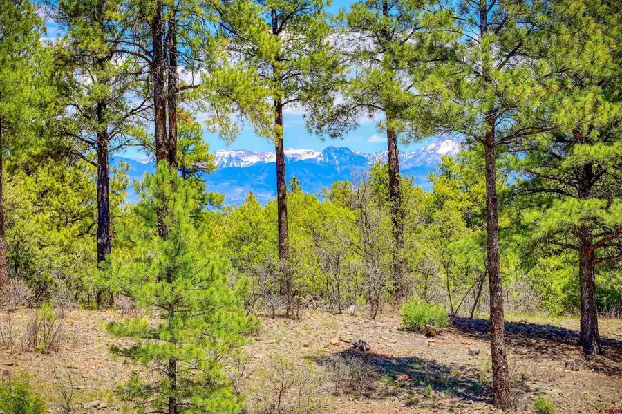 701 Piney Place, Pagosa Springs, CO 81147 - #3