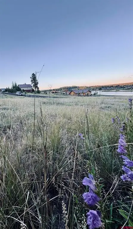 374 Incline Circle, Pagosa Springs, CO 81147 - #3