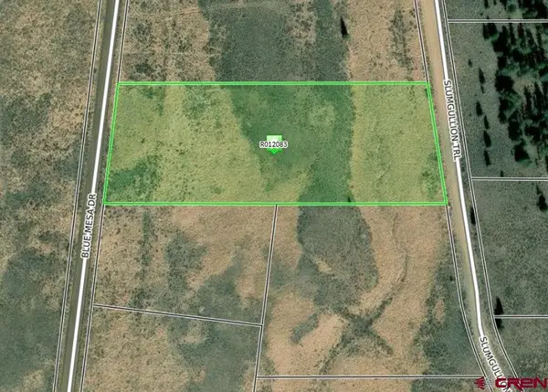 1411 Slumgullion Trail, Powderhorn, CO 81243