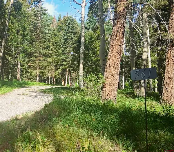 561 Crest Drive, Cimarron, CO 81220
