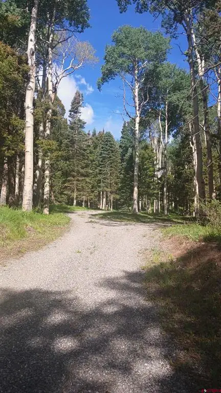 561 Crest Drive, Cimarron, CO 81220 - #2