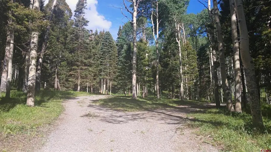 561 Crest Drive, Cimarron, CO 81220 - #3