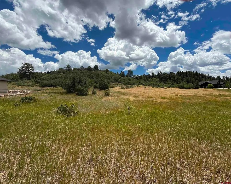 213 Dylan Drive, Pagosa Springs, CO 81147 - #1