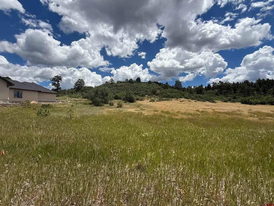 213 Dylan Drive, Pagosa Springs, CO 81147 - #2