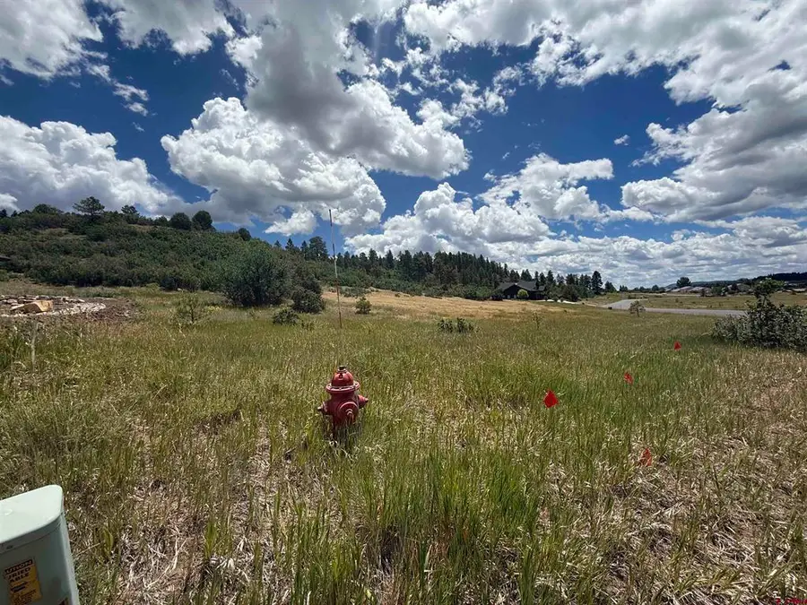 213 Dylan Drive, Pagosa Springs, CO 81147 - #3