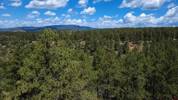 121 Engineer Point, Pagosa Springs, CO 81147