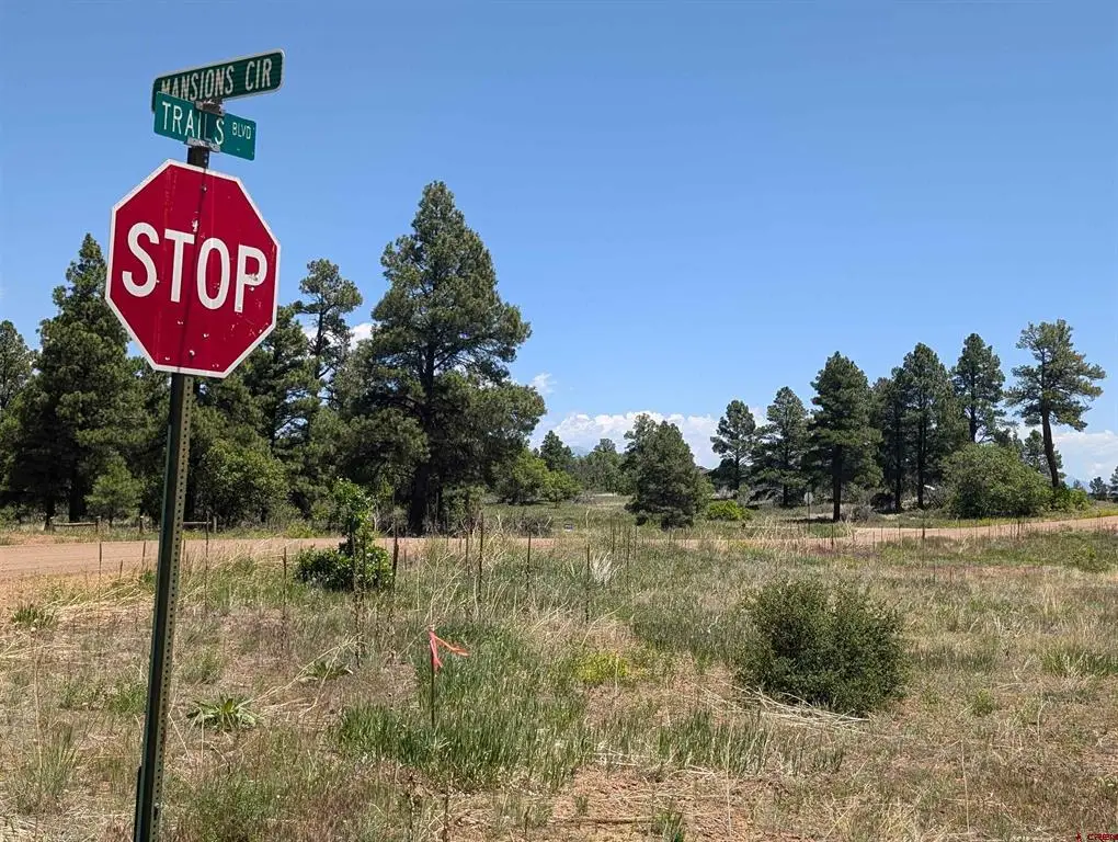 16 Mansions Circle, Pagosa Springs, CO 81147 - #1