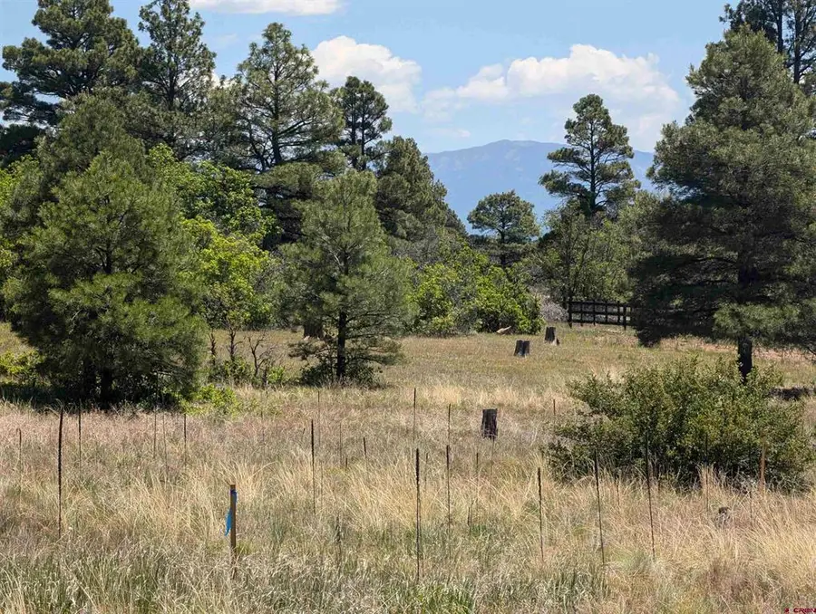 16 Mansions Circle, Pagosa Springs, CO 81147 - #2