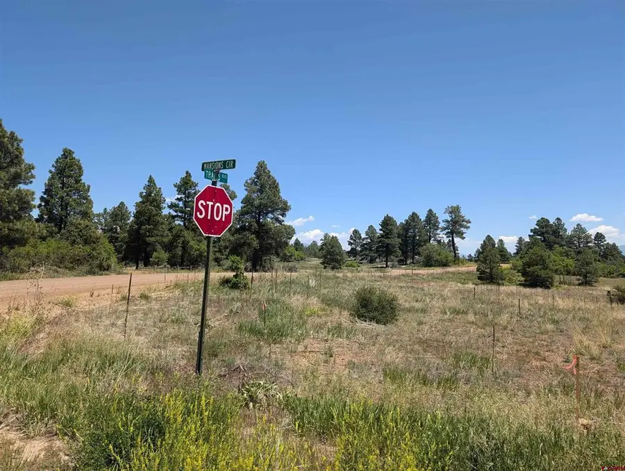 16 Mansions Circle, Pagosa Springs, CO 81147 - #3