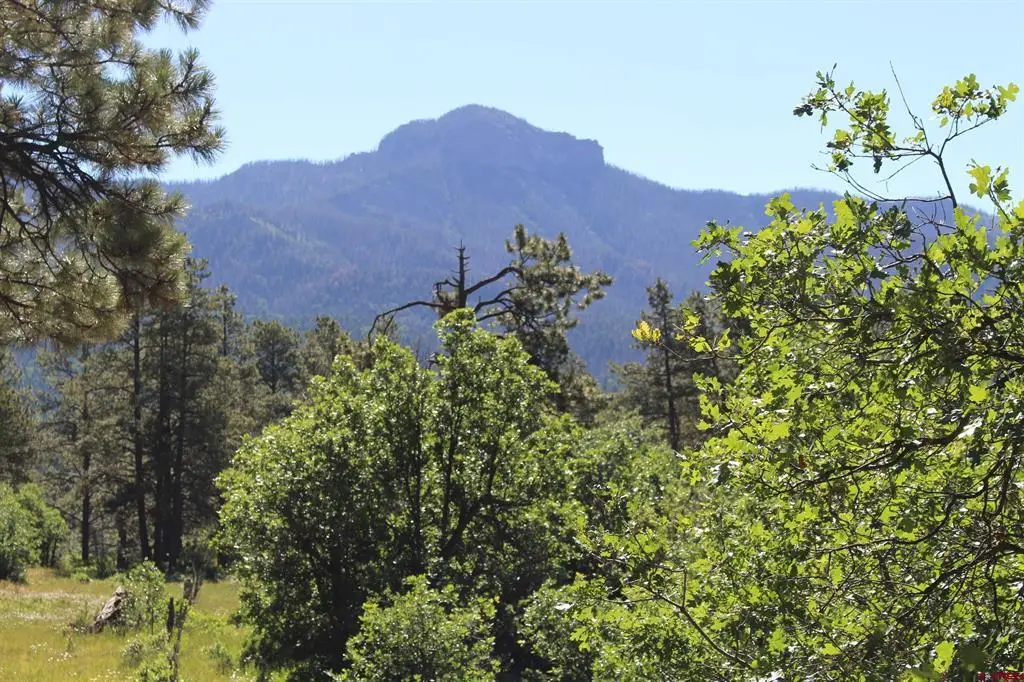 1422 Needles View Place, Pagosa Springs, CO 81147 - #1