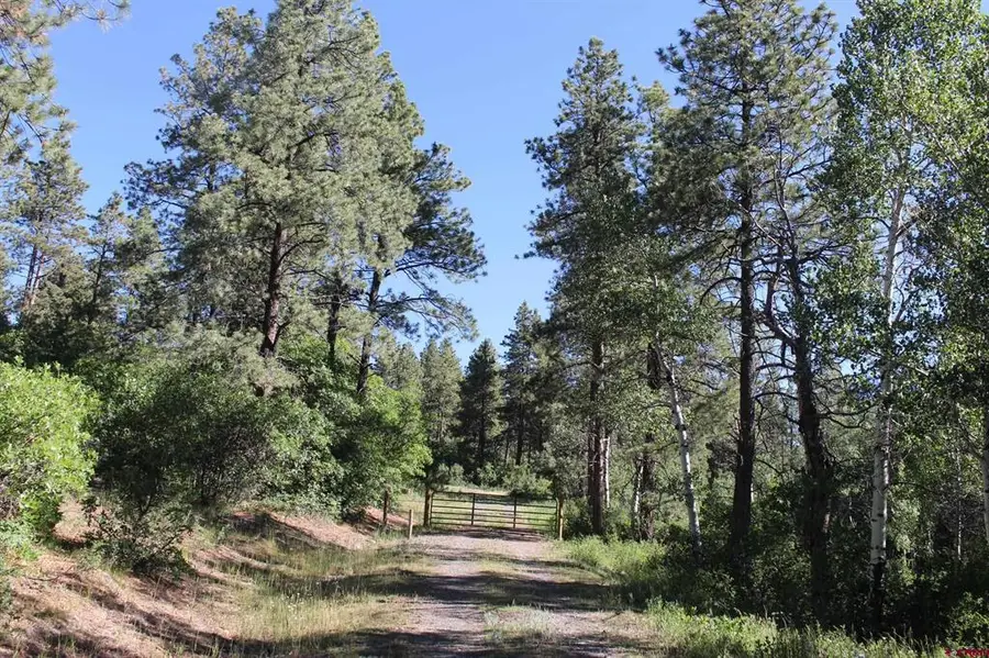1422 Needles View Place, Pagosa Springs, CO 81147 - #2
