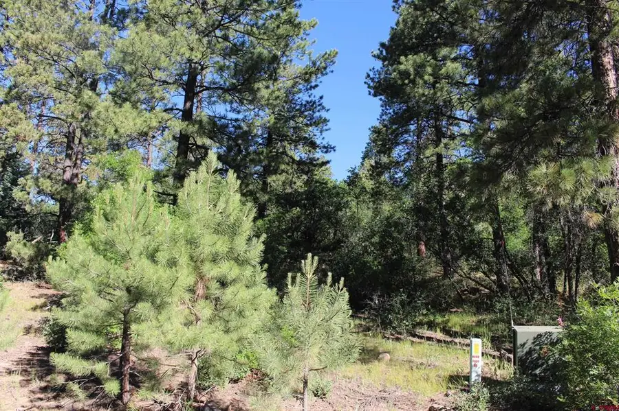 1422 Needles View Place, Pagosa Springs, CO 81147 - #3