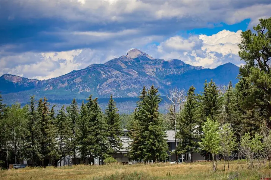301 Talisman Drive #4301, Pagosa Springs, CO 81147 - #2