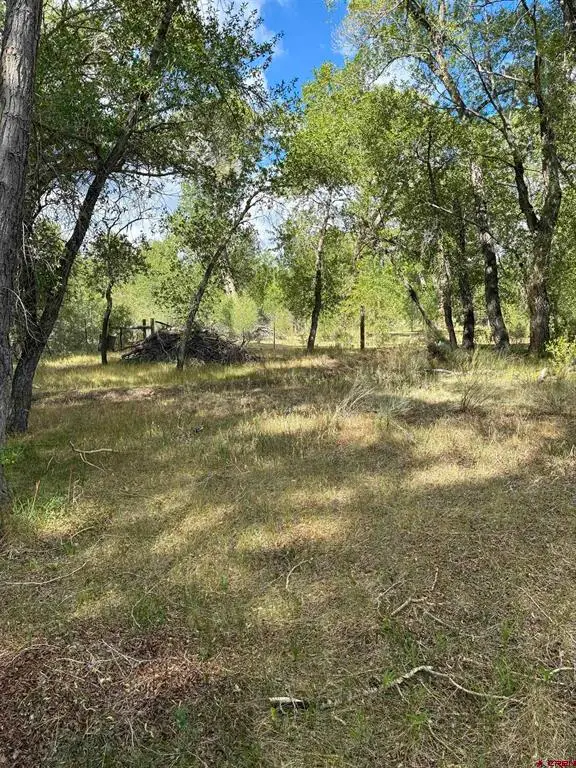 29622 State Highway 17, Antonito, CO 81120 - #3